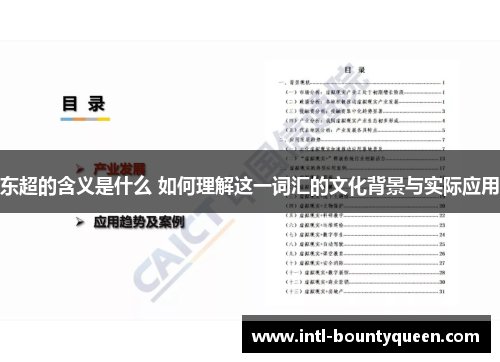 东超的含义是什么 如何理解这一词汇的文化背景与实际应用