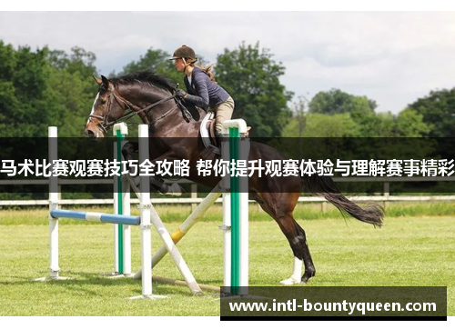 马术比赛观赛技巧全攻略 帮你提升观赛体验与理解赛事精彩