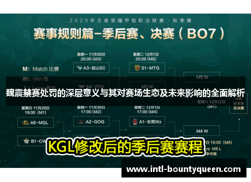 魏震禁赛处罚的深层意义与其对赛场生态及未来影响的全面解析